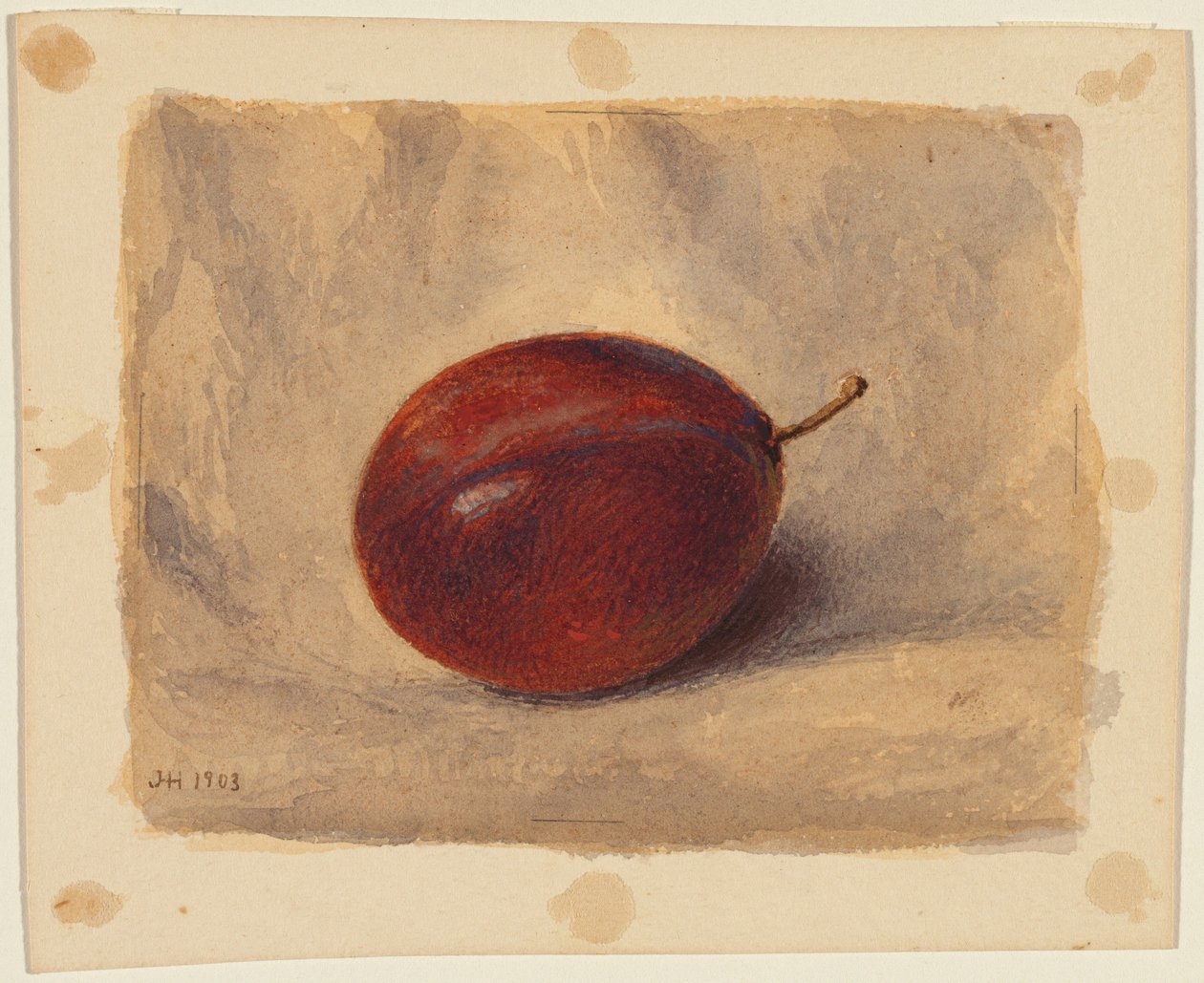 Plum by John Henry Hill