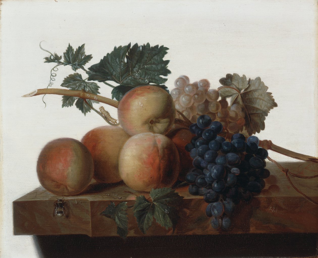 Still Life by John Johnston