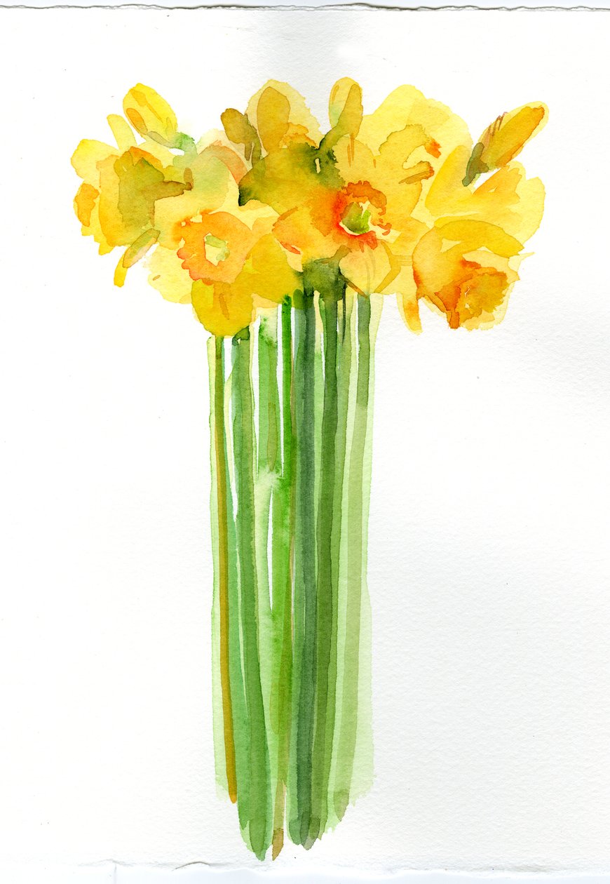 Daffodil Bunch, 2014 by John Keeling