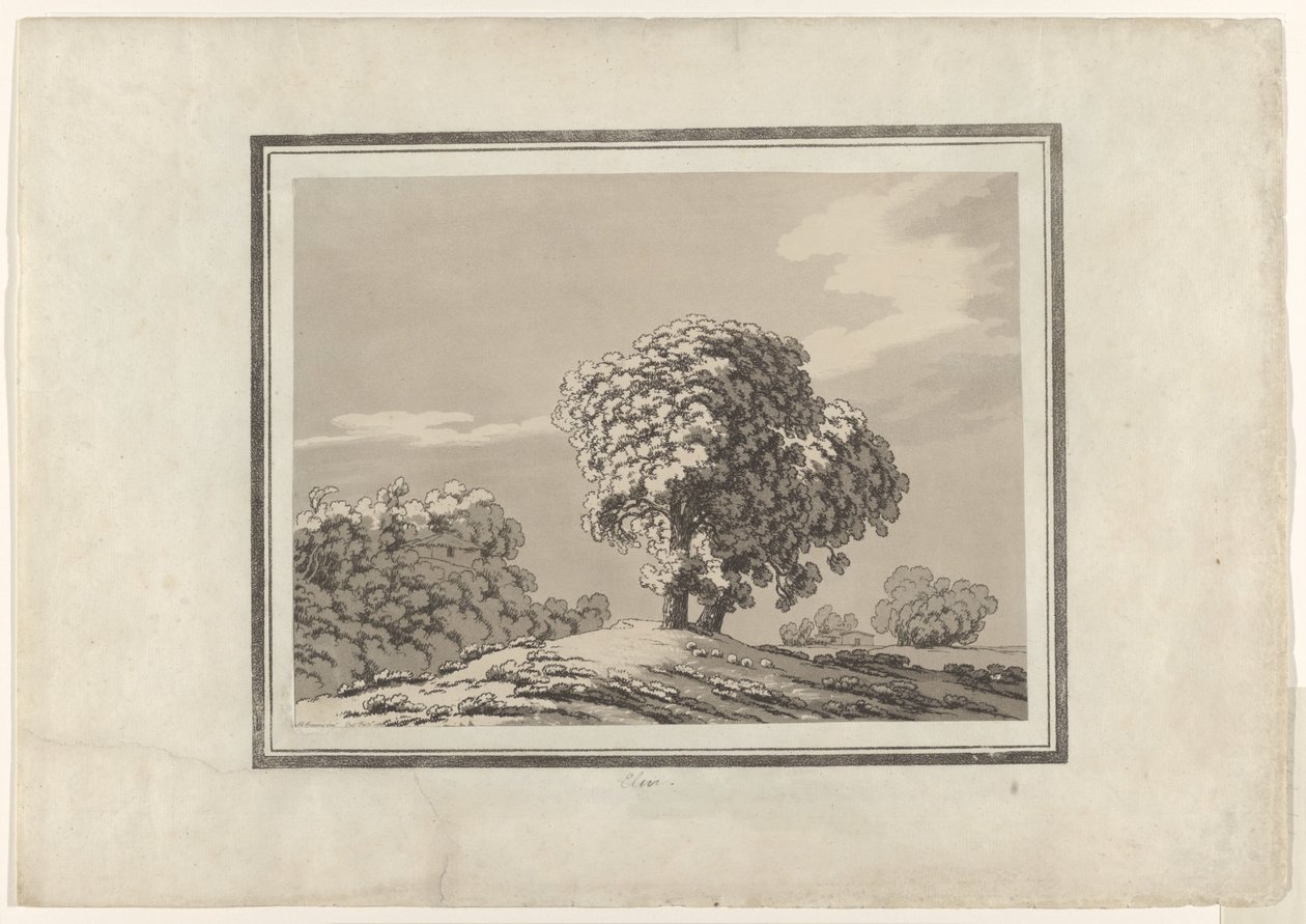 Elm by John Robert Cozens