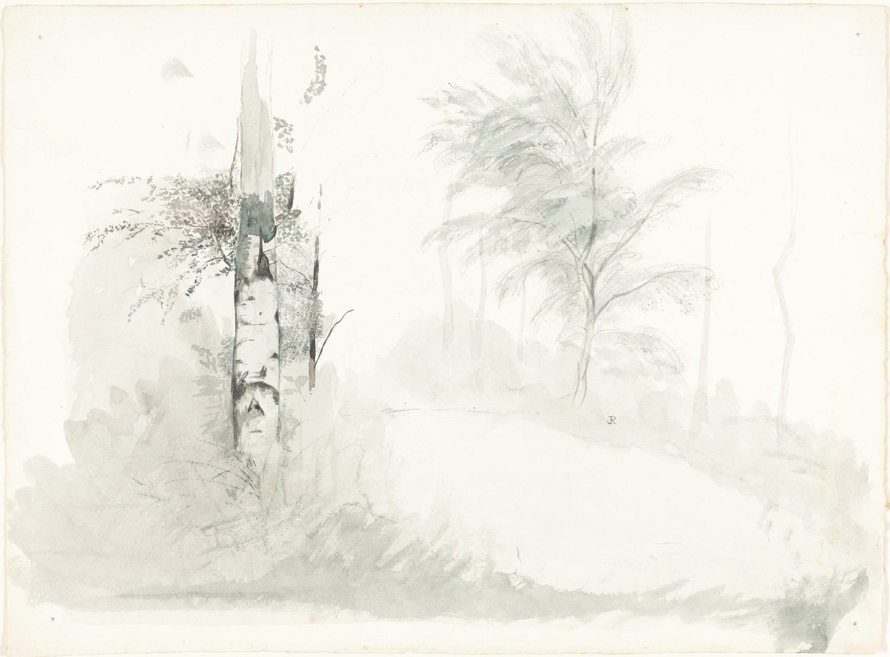 Tree Study by John Ruskin