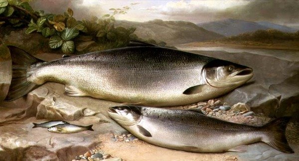 Fish Still Life by John Russell