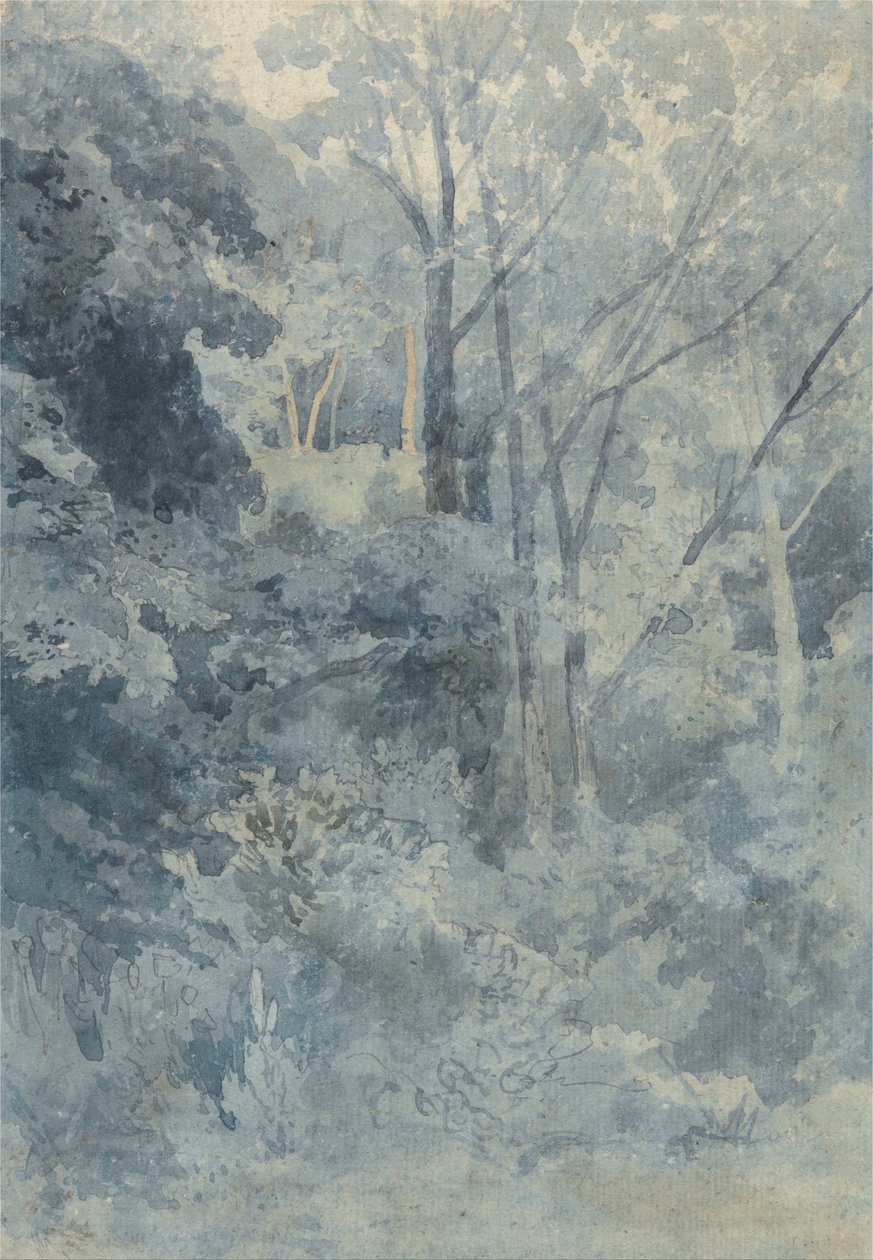 In Rokeby Park by John Sell Cotman