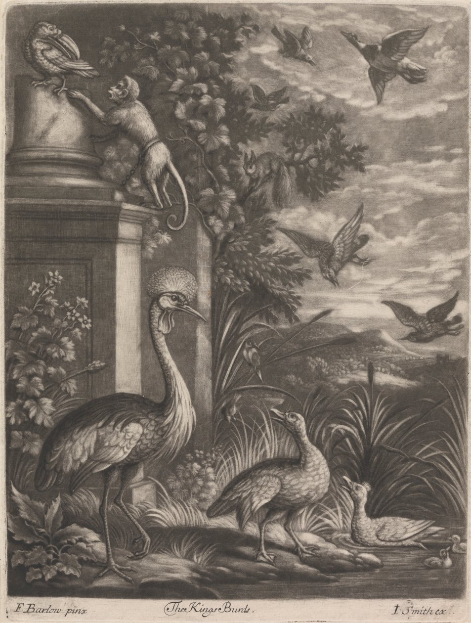 The Kings Birds by John Smith