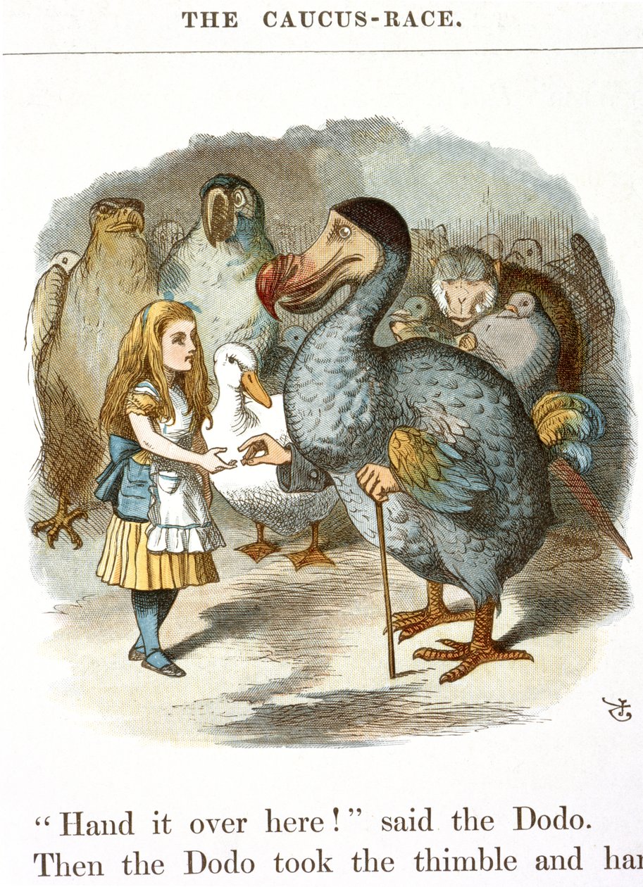 The Caucus-Race by John Tenniel