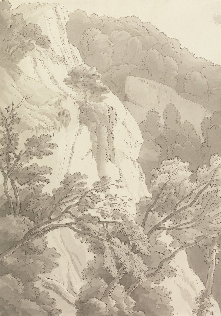 Canonteign by John White Abbott