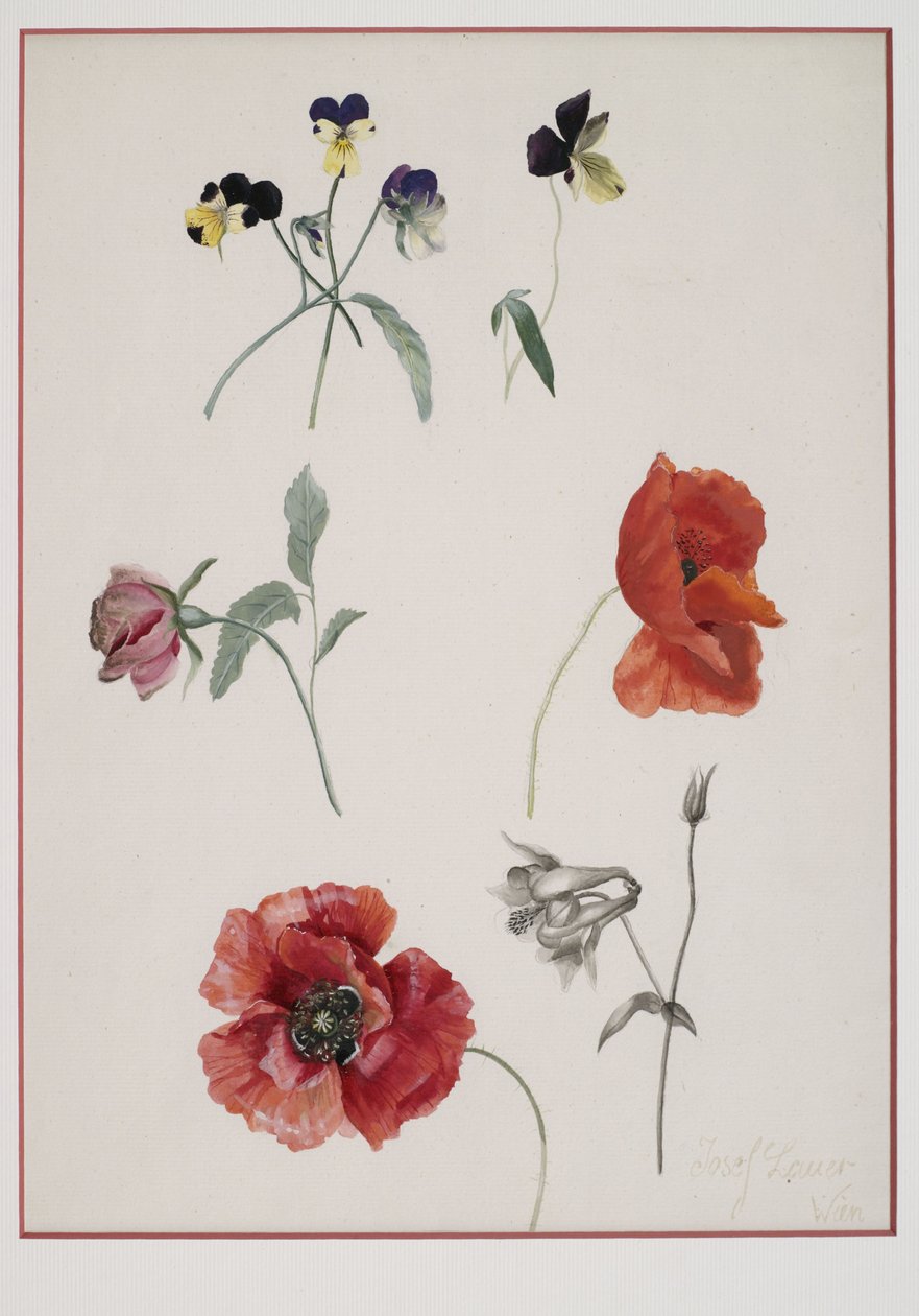 Flowers by Josef Lauer