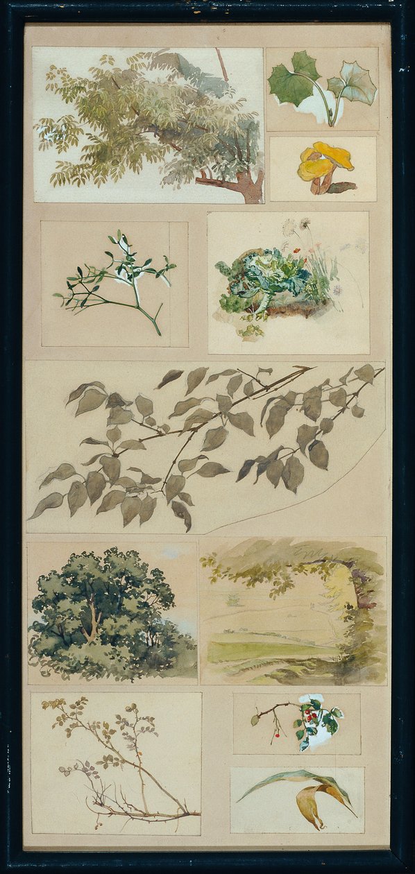 Studies from Nature by Josef Wawra