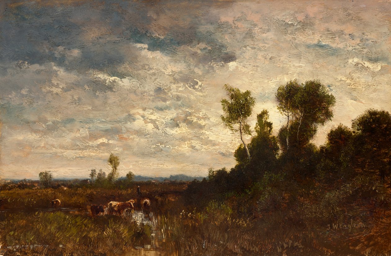 Moorland by Josef Wenglein