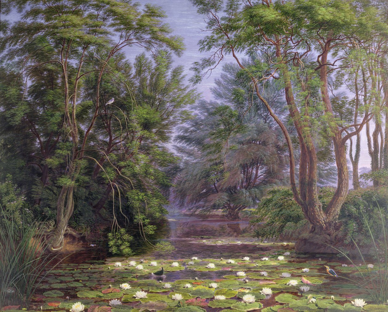 River Cherwell Waterlilies, 1851 by Joseph Mallord William Turner