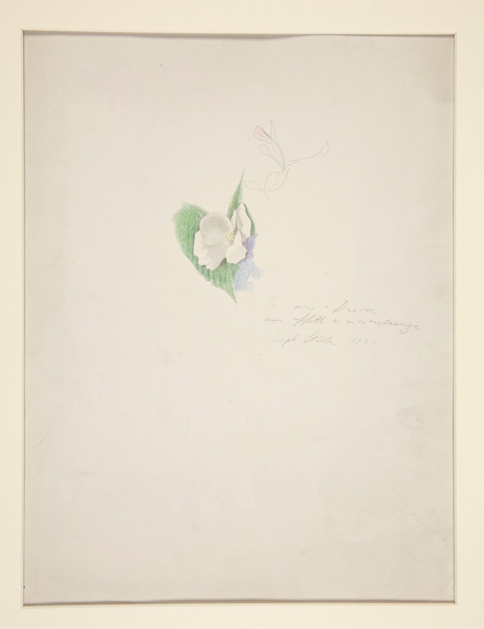 Flower by Joseph Stella