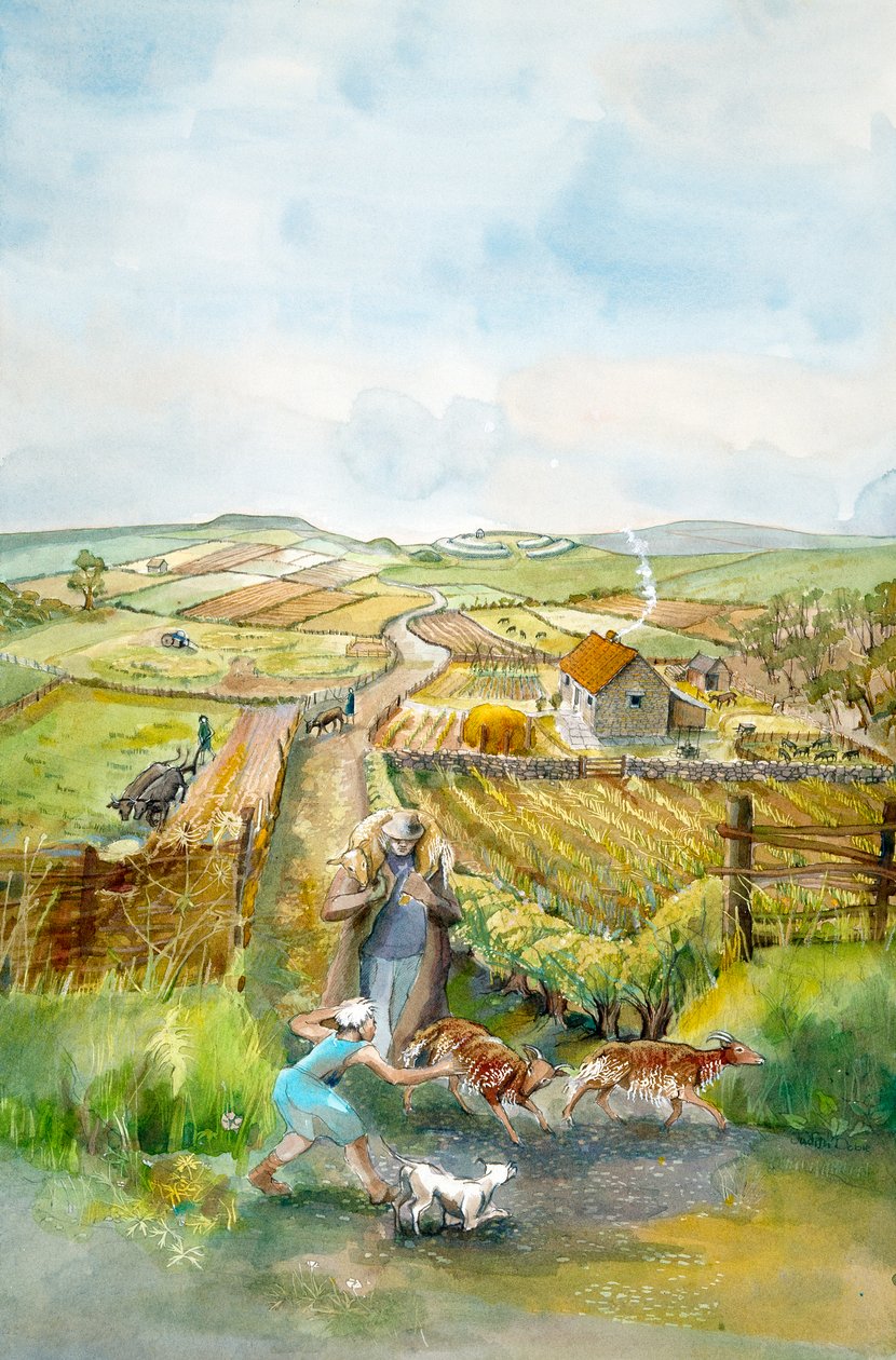 Rural landscape, 3rd Century, c. 1990-2010 by Judith Dobie