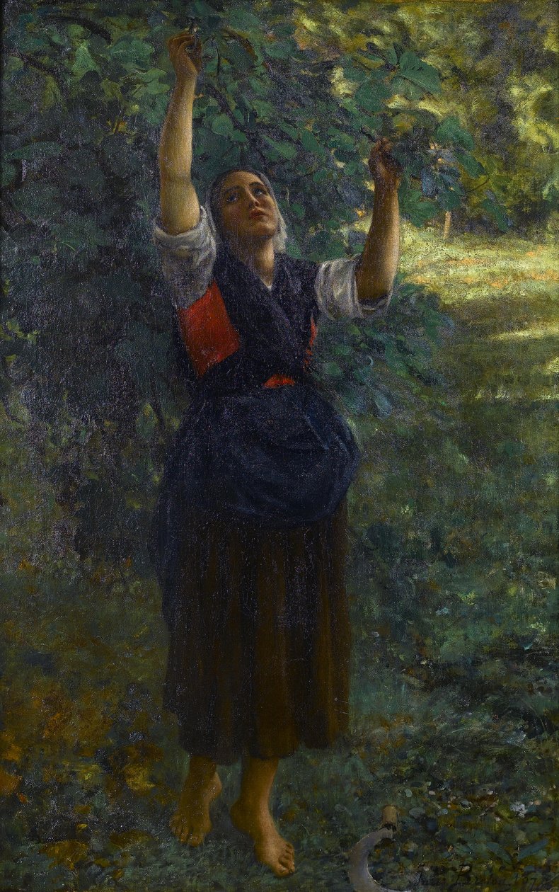 Fig Picker by Jules Breton
