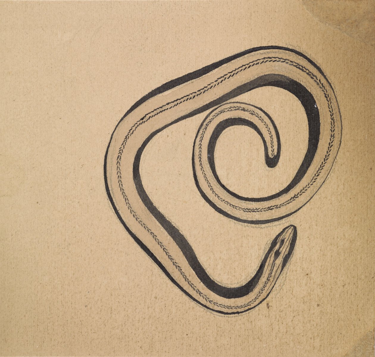 Slowworm by Julie de Graag
