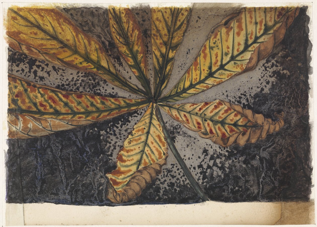 Chestnut Leaf by Julie de Graag