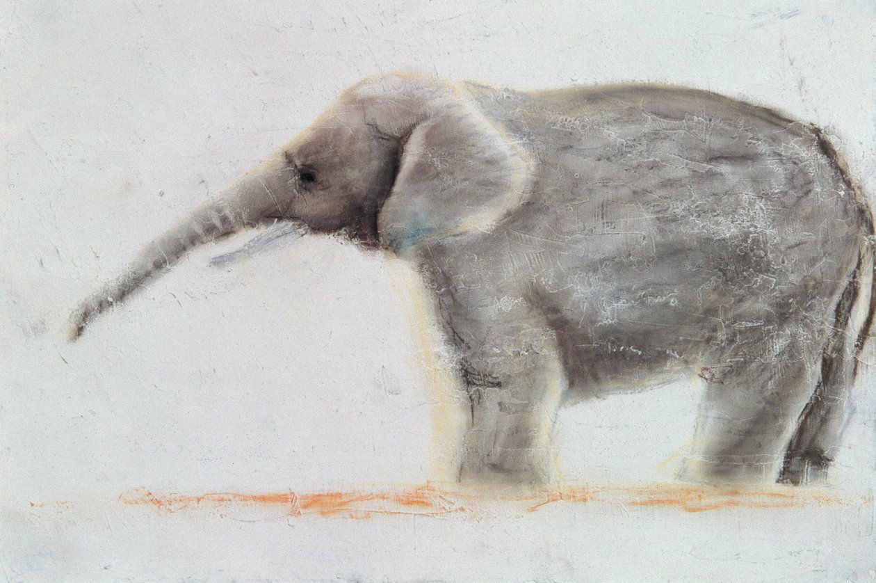 Elephant by Jung Sook Nam