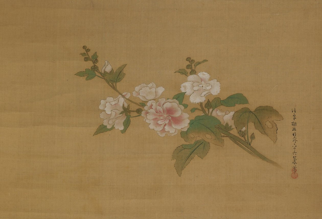 A branch of flowering hibiscus, Edo Period by Kanō Tan’yū