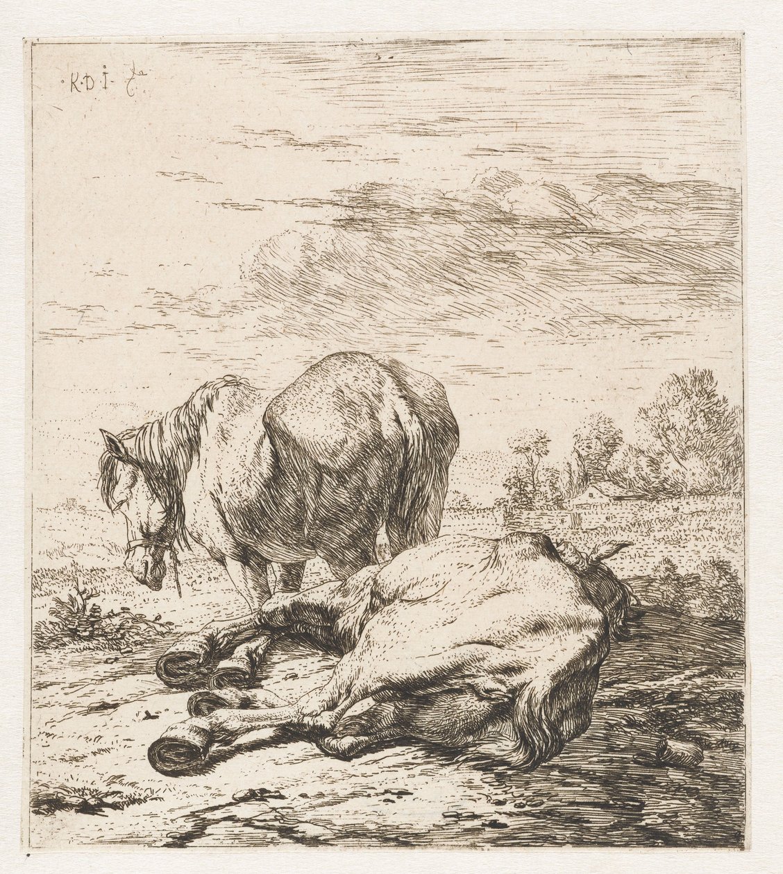 Two Horses by Karel Du Jardin