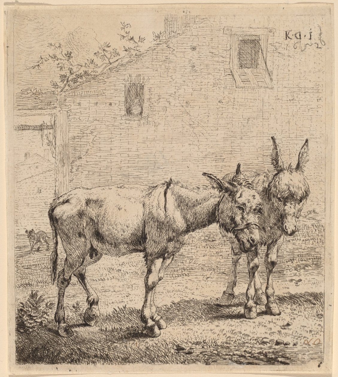 Two Asses by Karel Dujardin