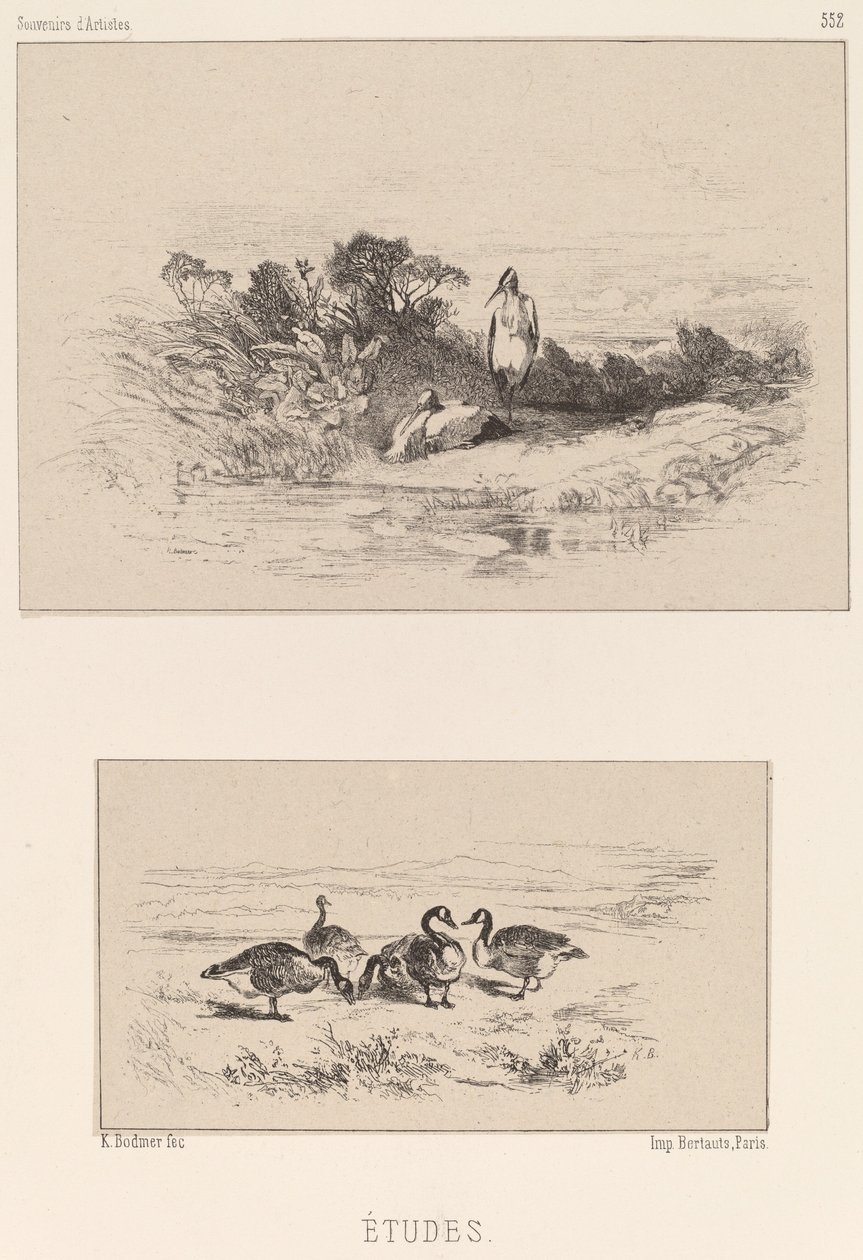Studies by Karl Bodmer
