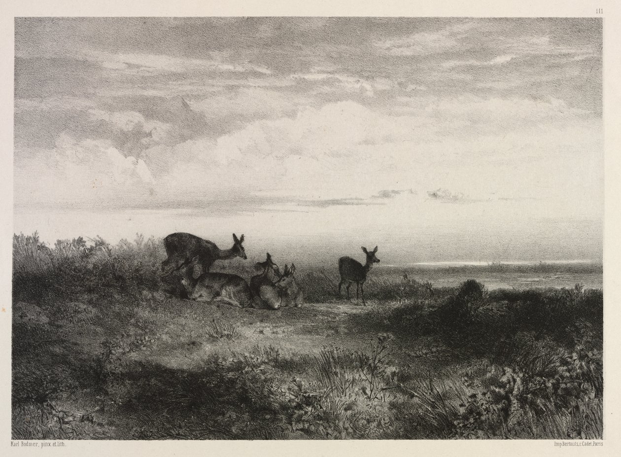 Landscape with Deer by Karl Bodmer