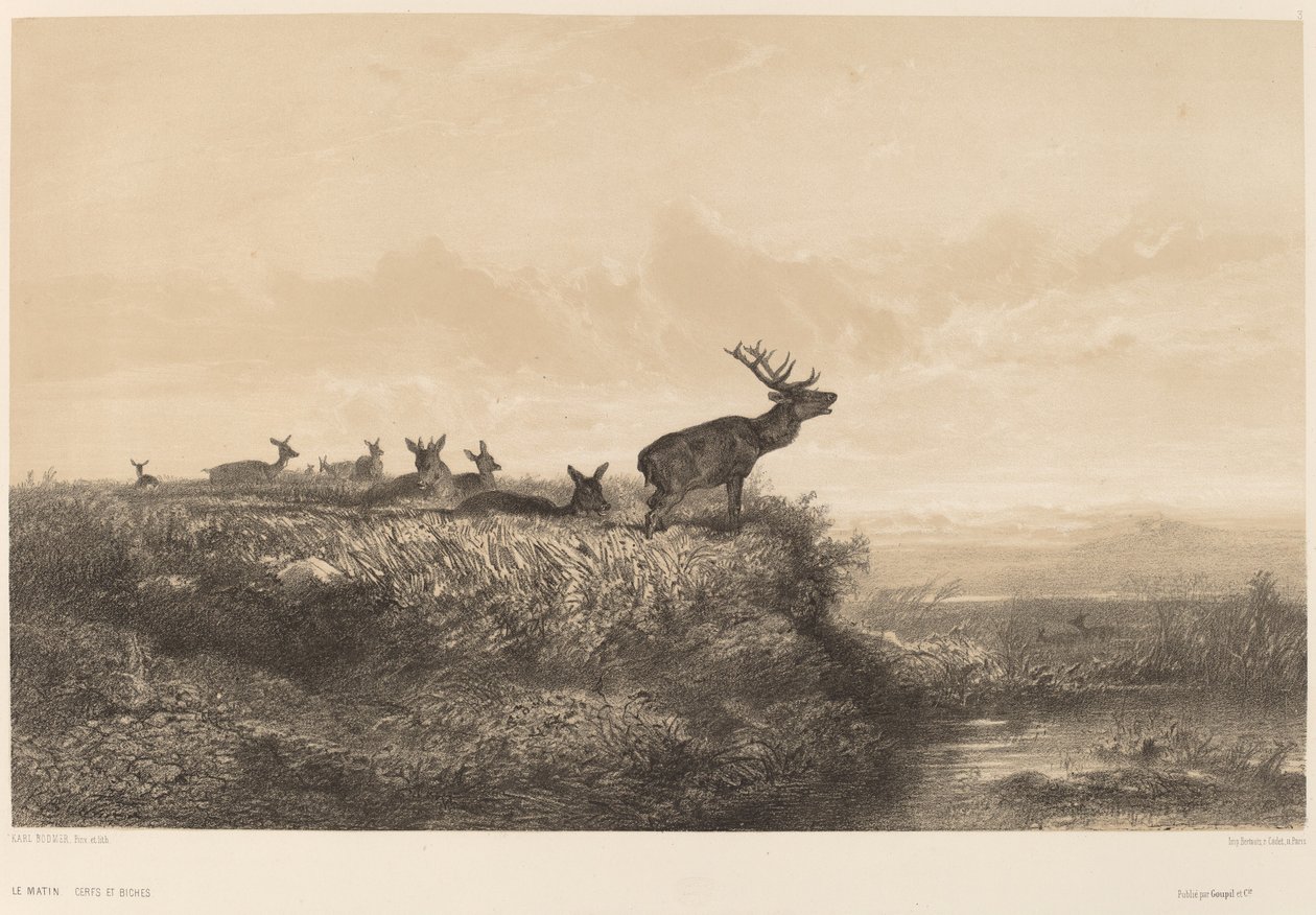 The Morning by Karl Bodmer
