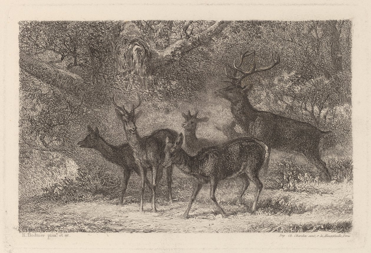 The Herd by Karl Bodmer