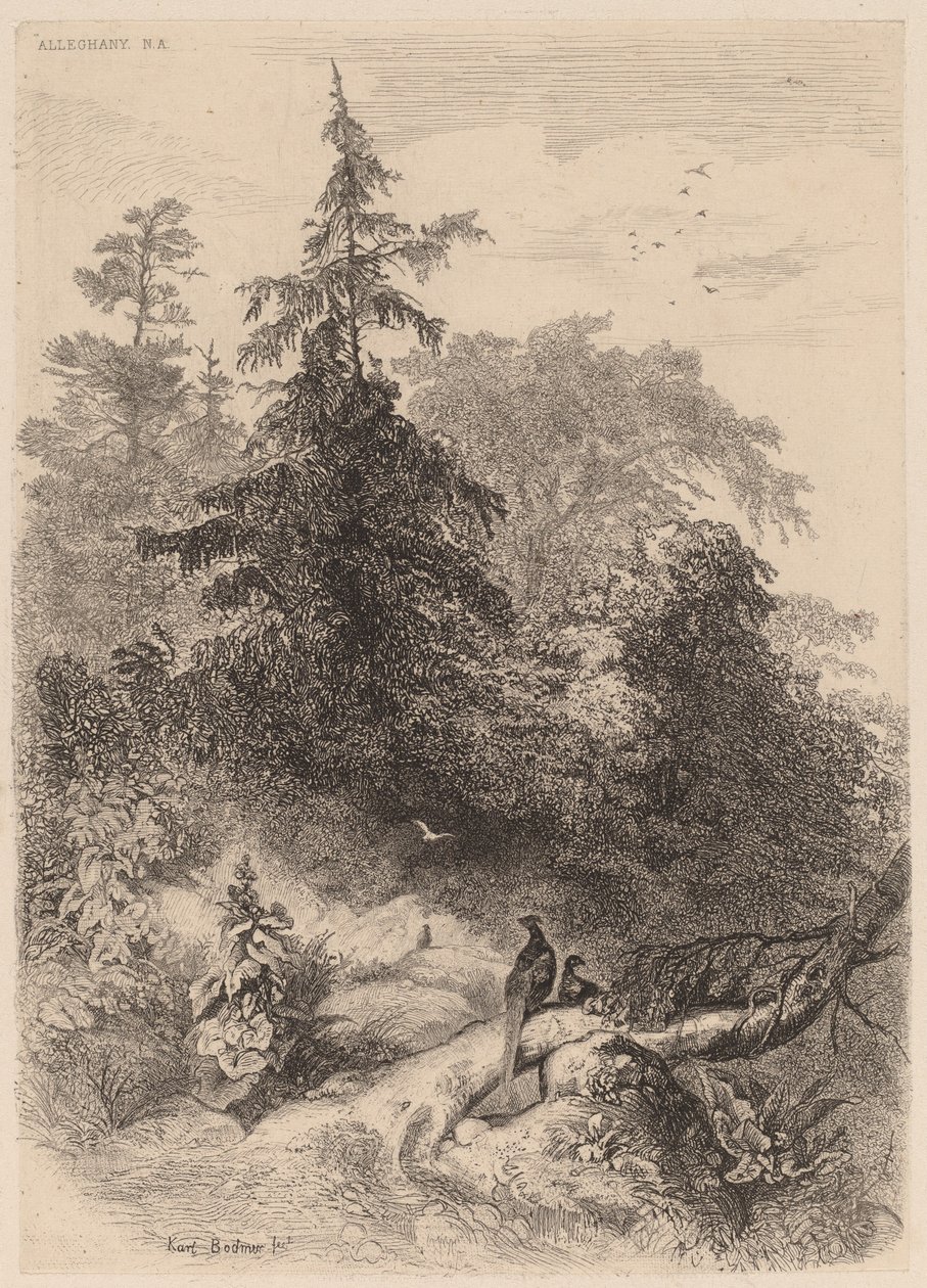 The Pheasants by Karl Bodmer