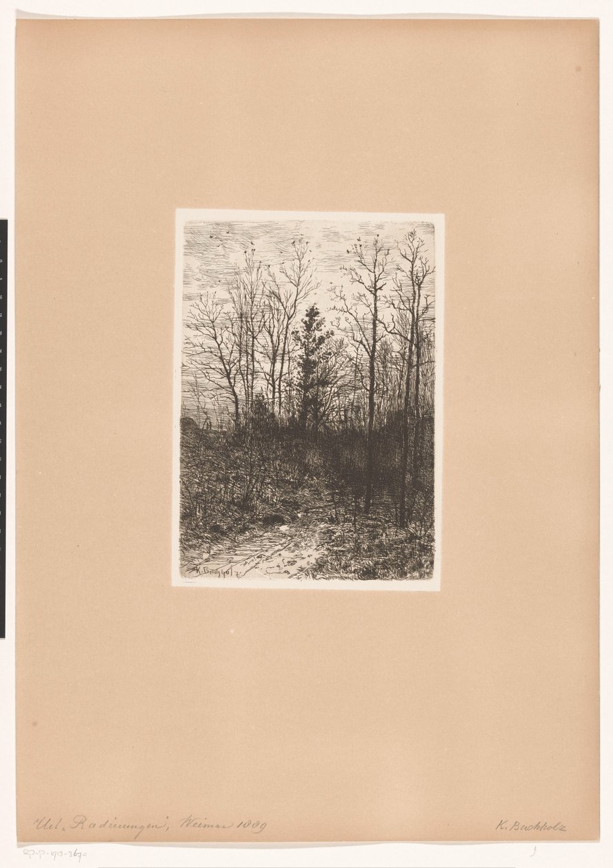 Forest Scene by Karl Buchholz
