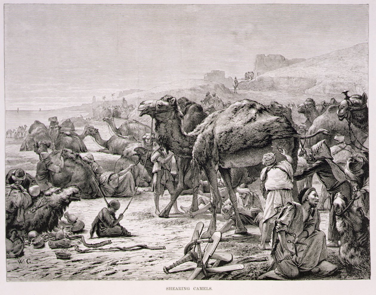 Shearing Camels by Karl Wilhelm Gentz