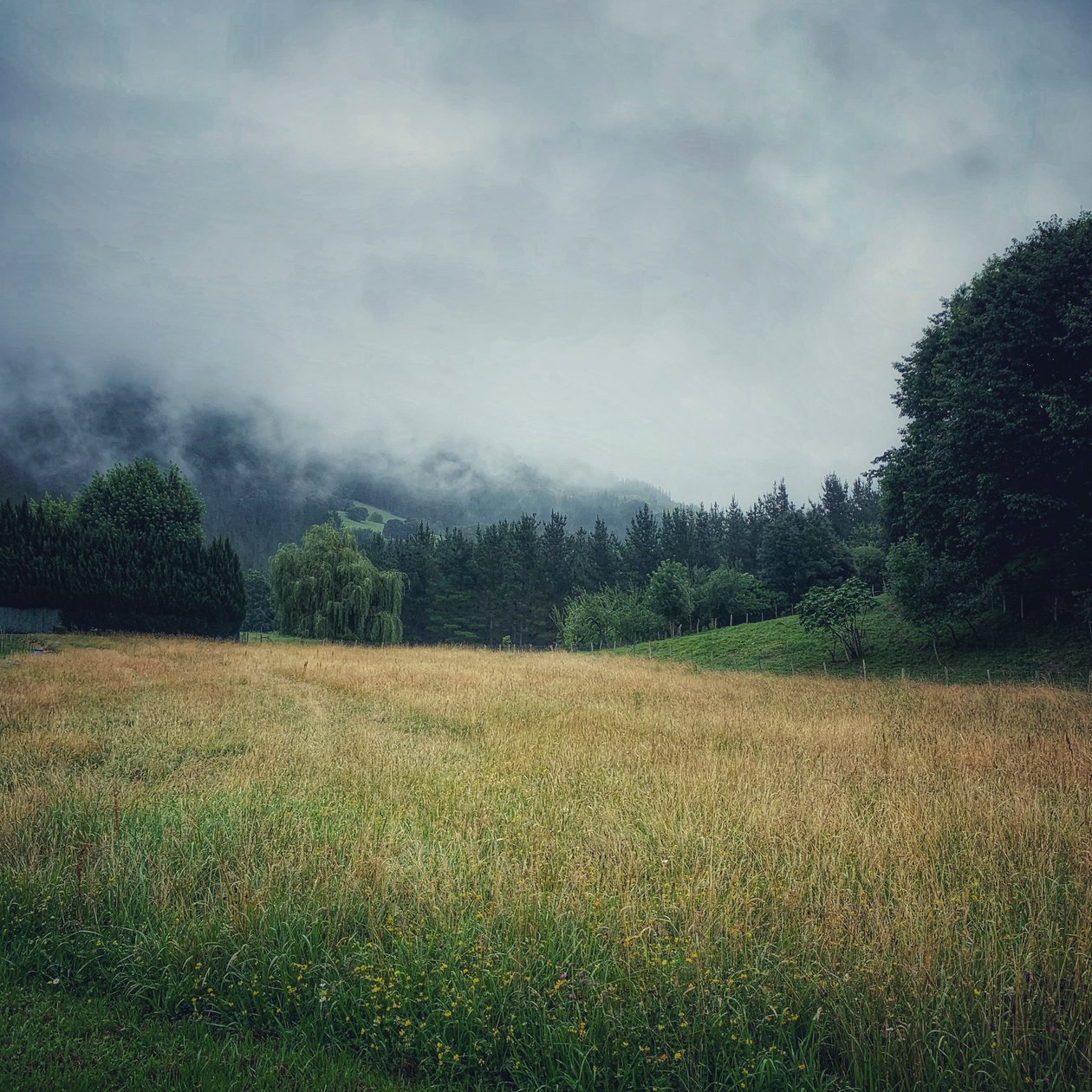 Misty Mountains, 2021 by Katha Wood