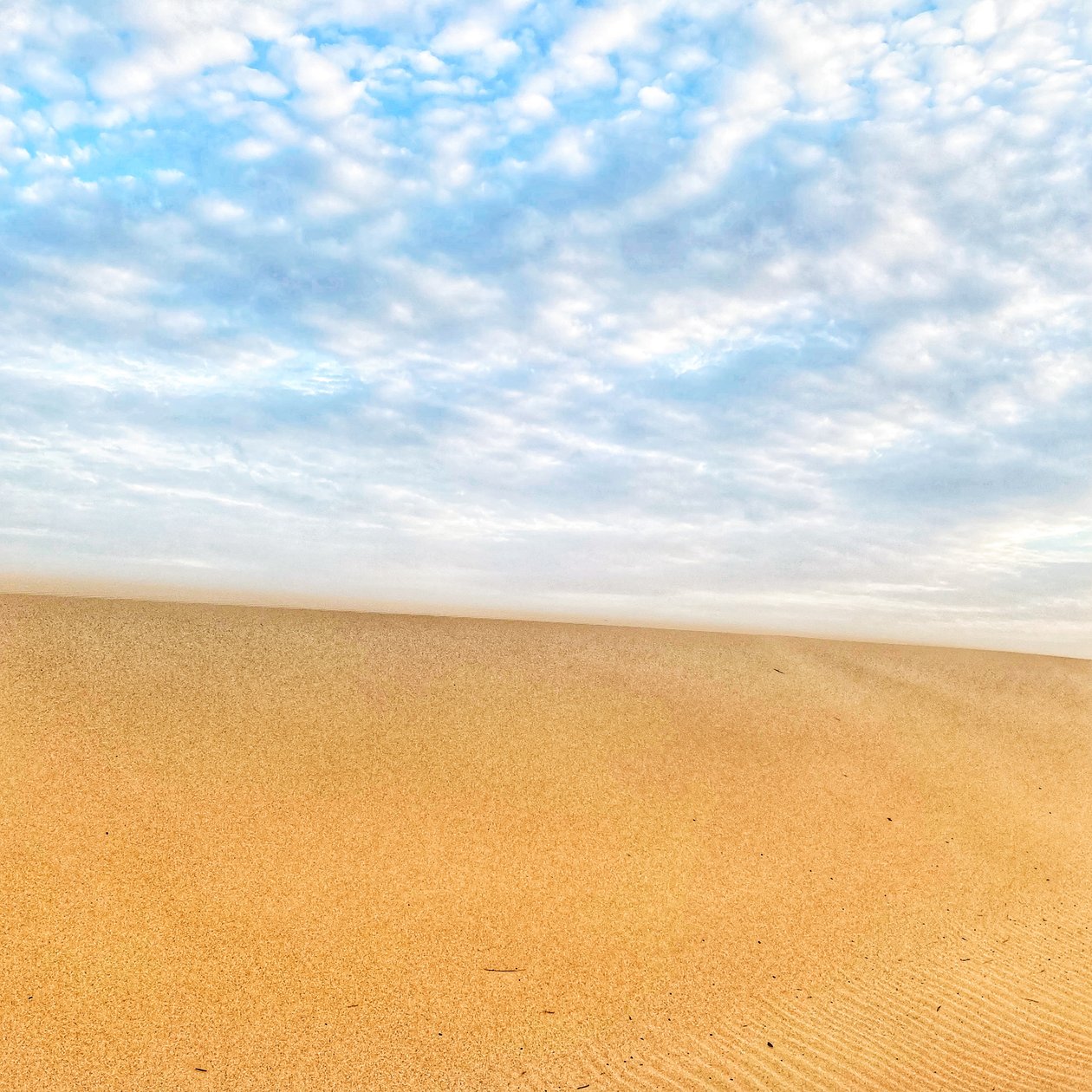 Surreal Desert Beach by Katha Wood