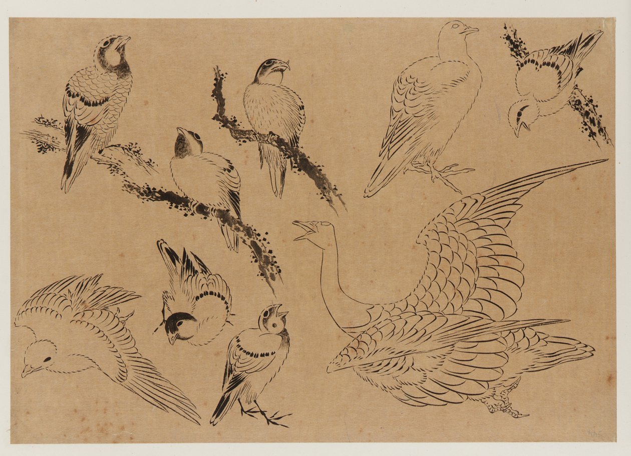 Birds by Katsushika Hokusai