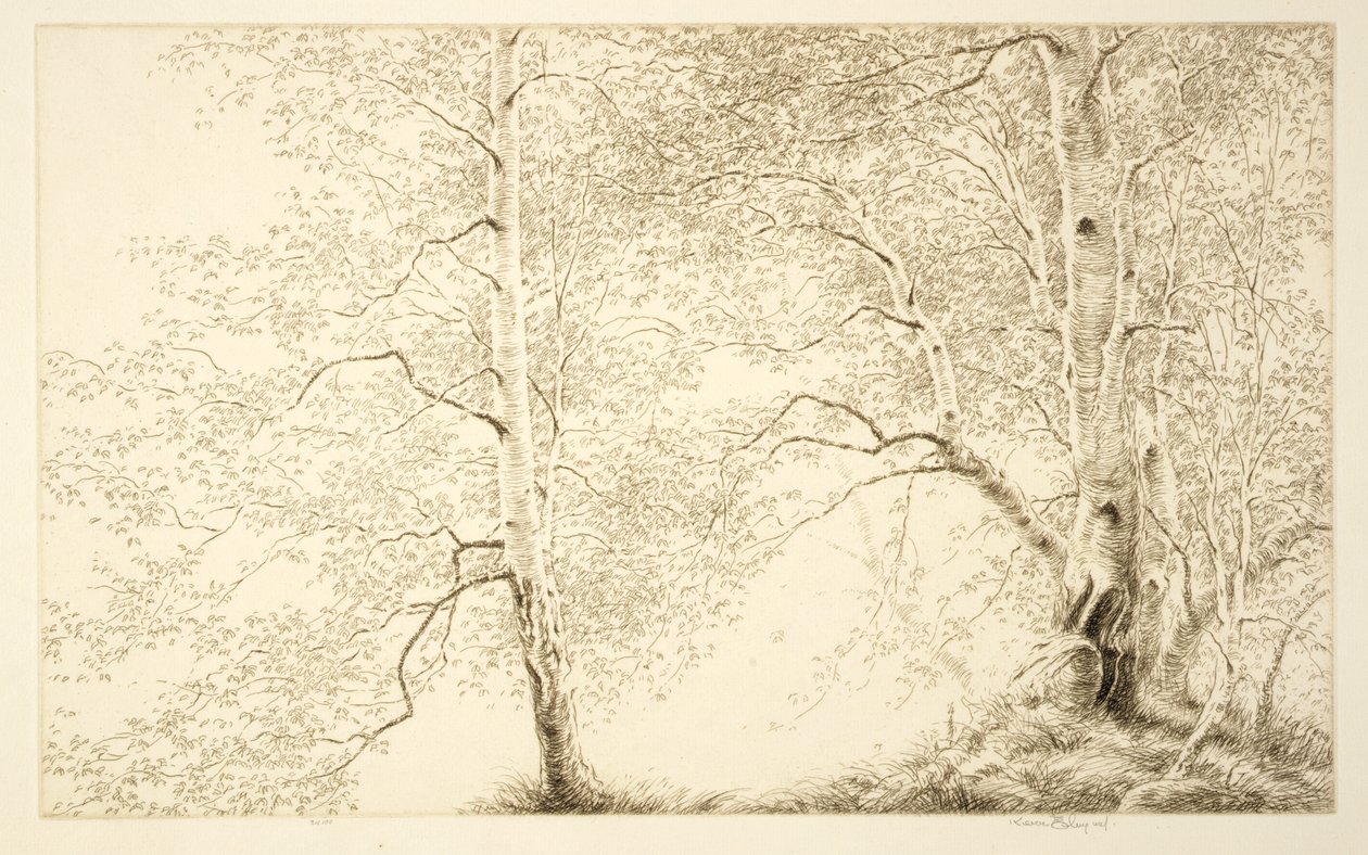 Birches by Kerr Eby