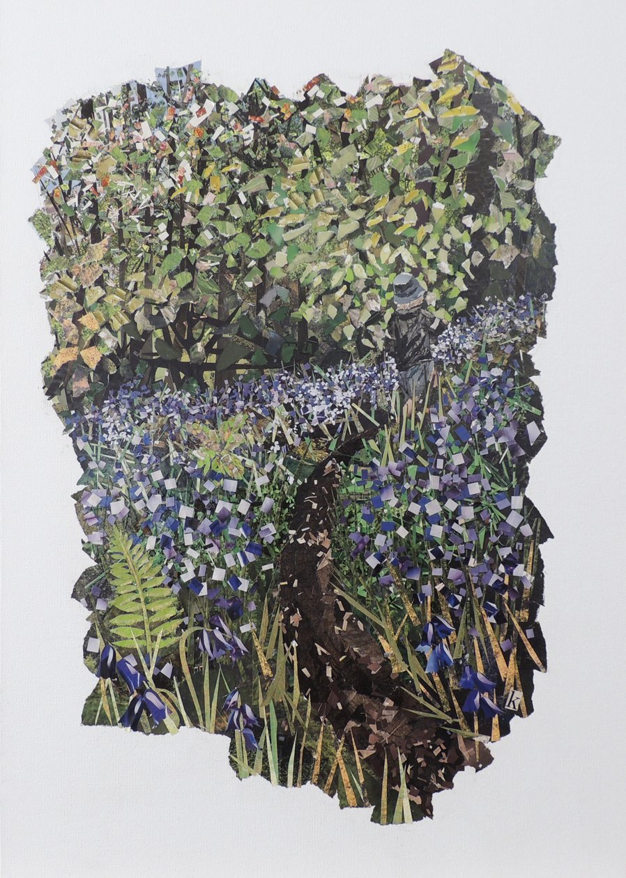 Bluebell Wood by Kirstie Adamson