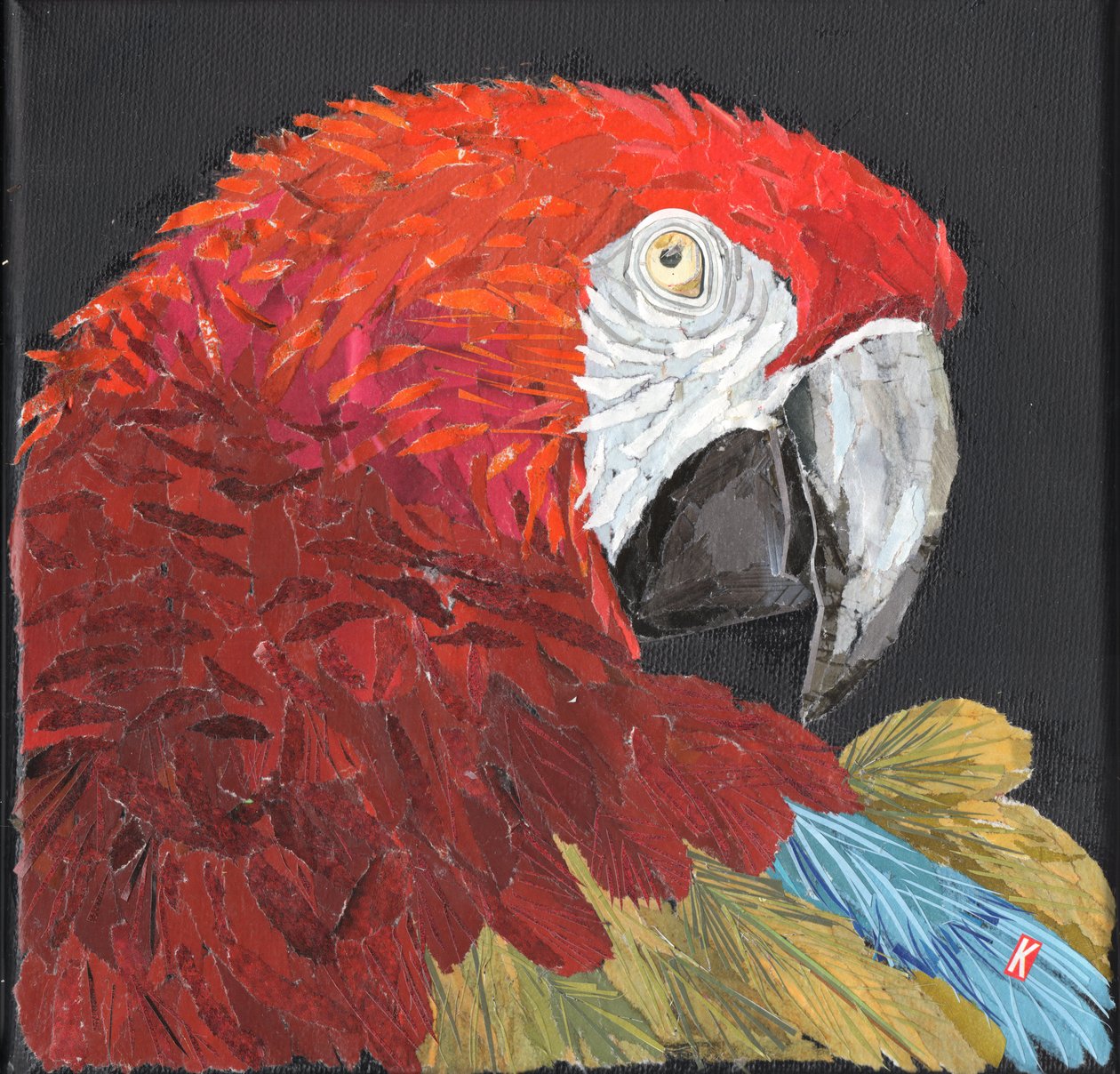 Red Macaw Parrot by Kirstie Adamson