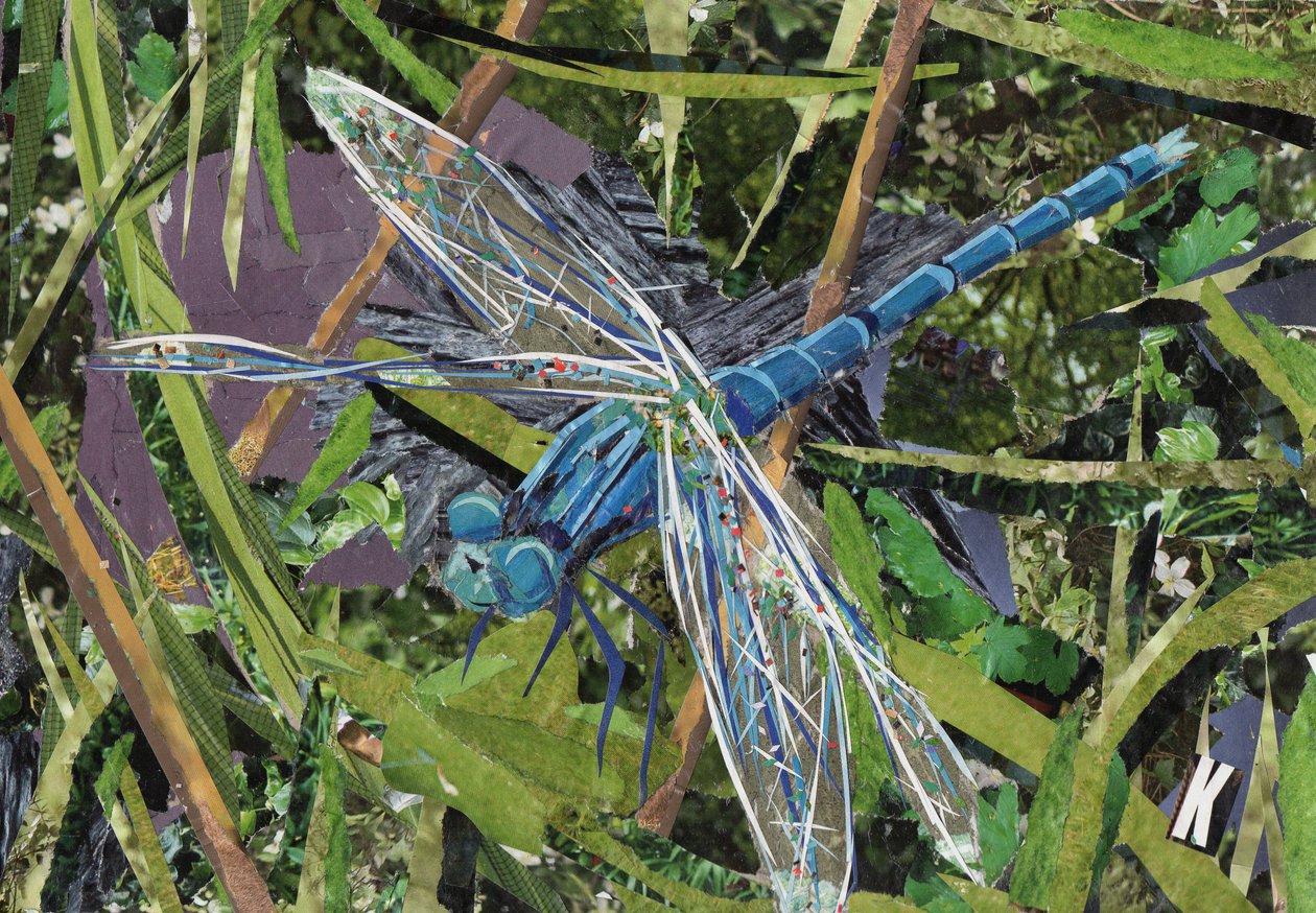 Blue Dragonfly by Kirstie Adamson