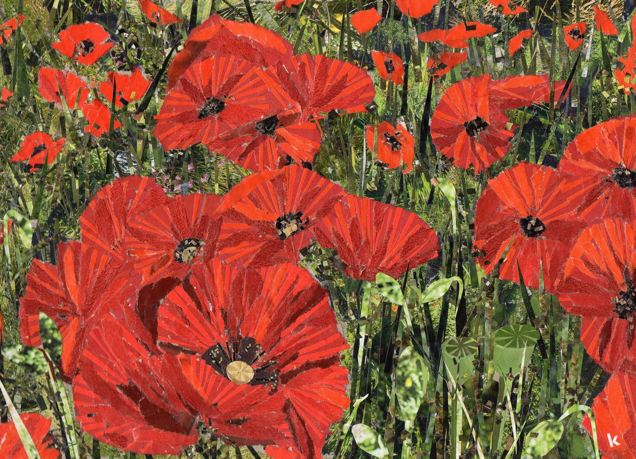 Poppy Field by Kirstie Adamson