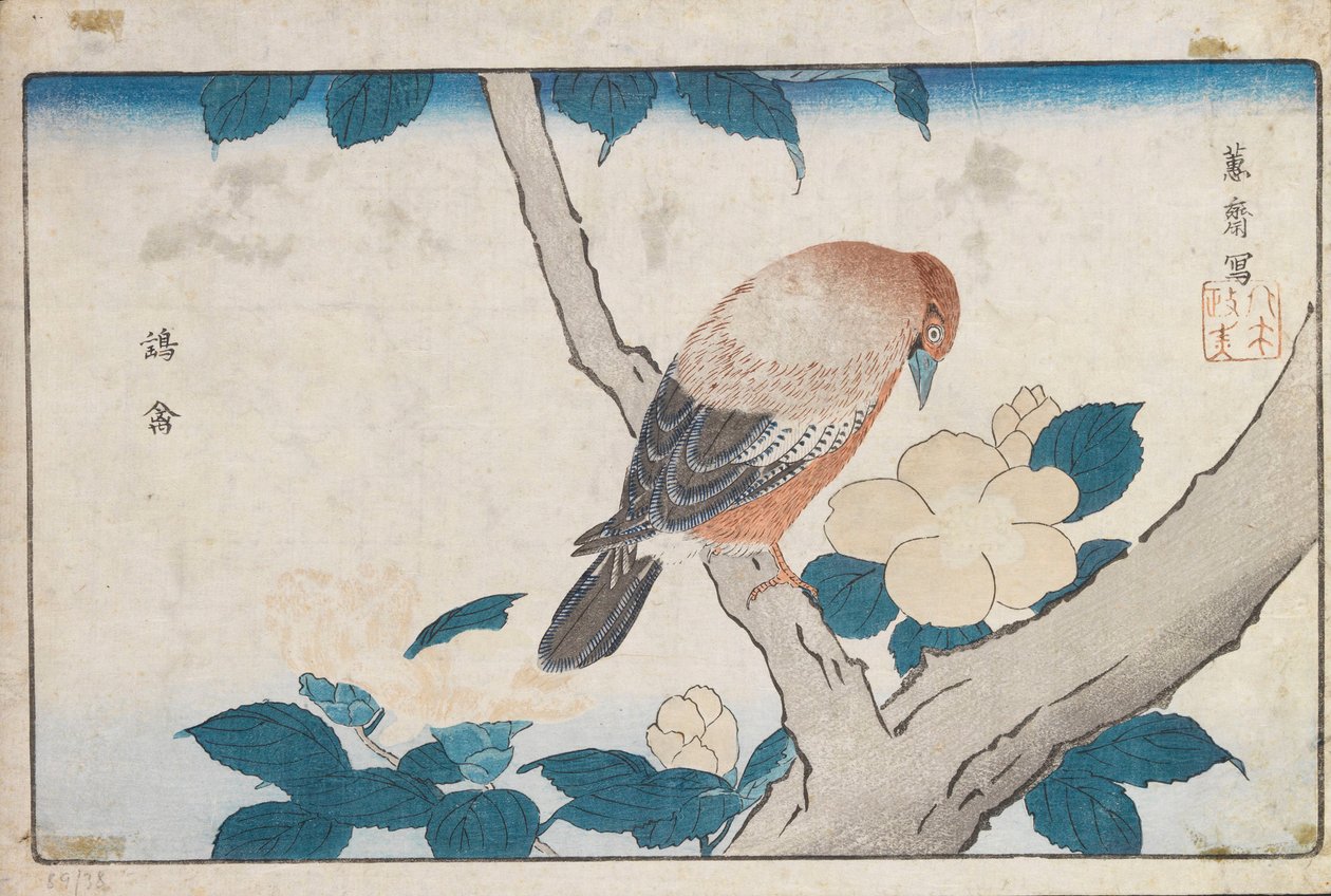 Untitled by Kitao Masayoshi