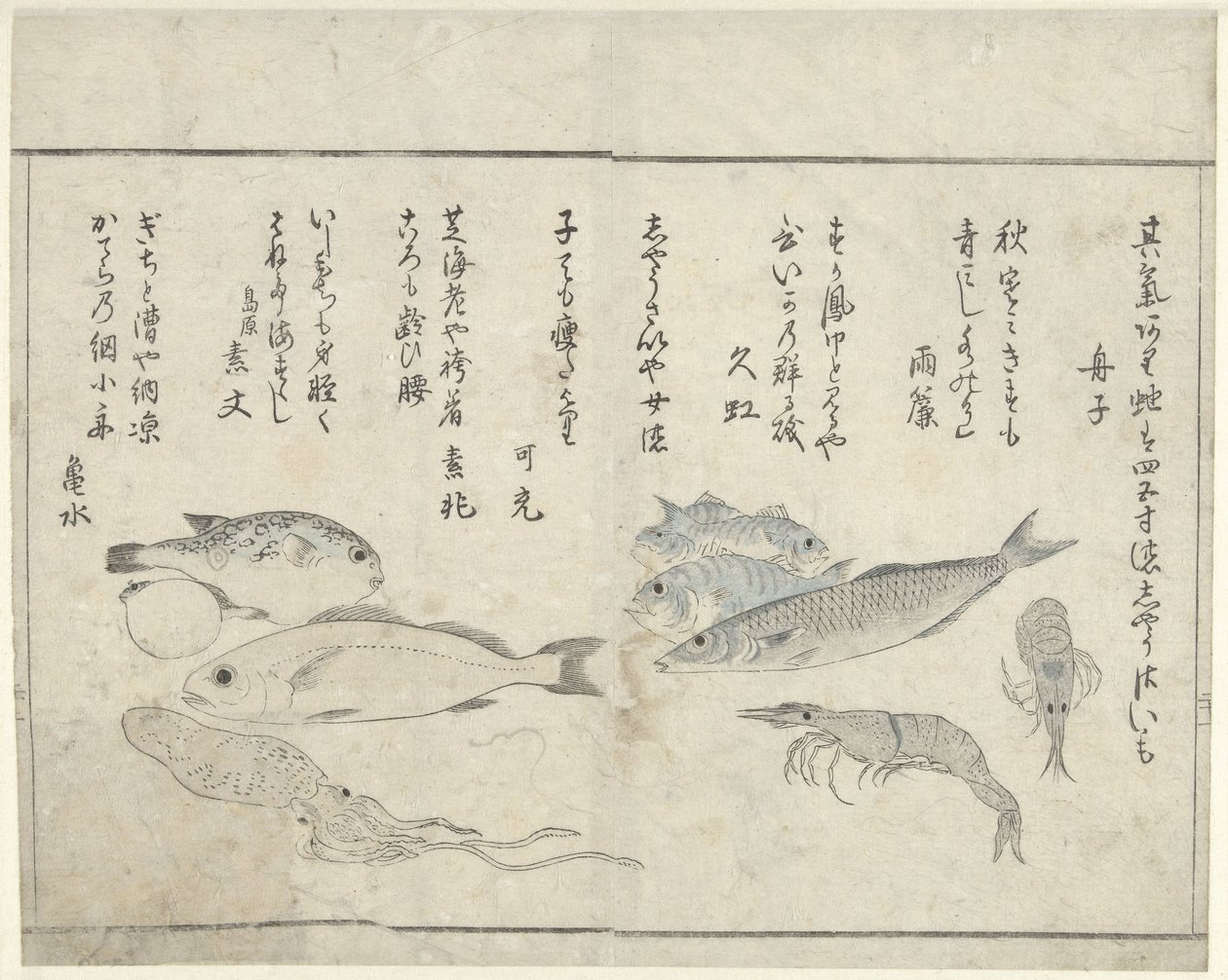 Sea Creatures by Kitao Masayoshi