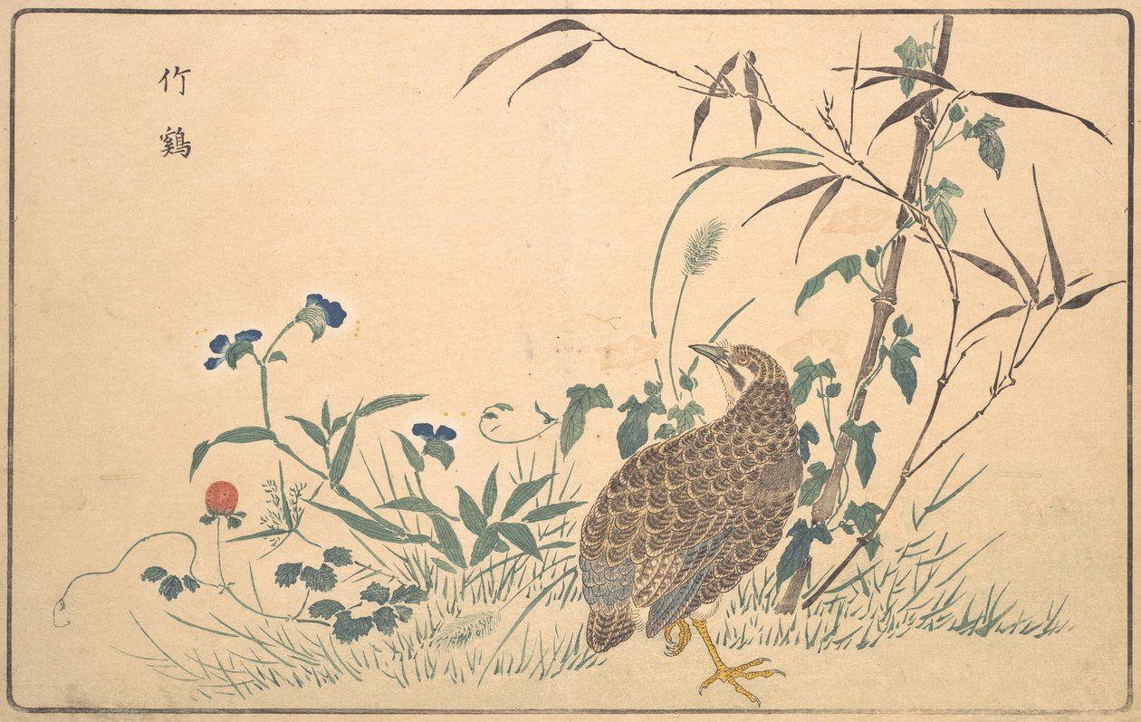 Zhu ji, 1789 by Kitao Masayoshi