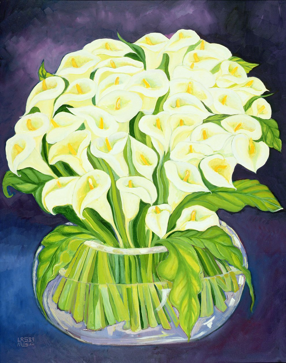 Calla Lilies by Laila Shawa