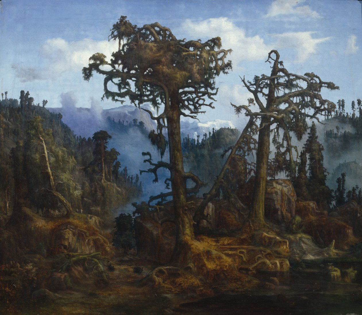 Old Pines by Lars Hertervig