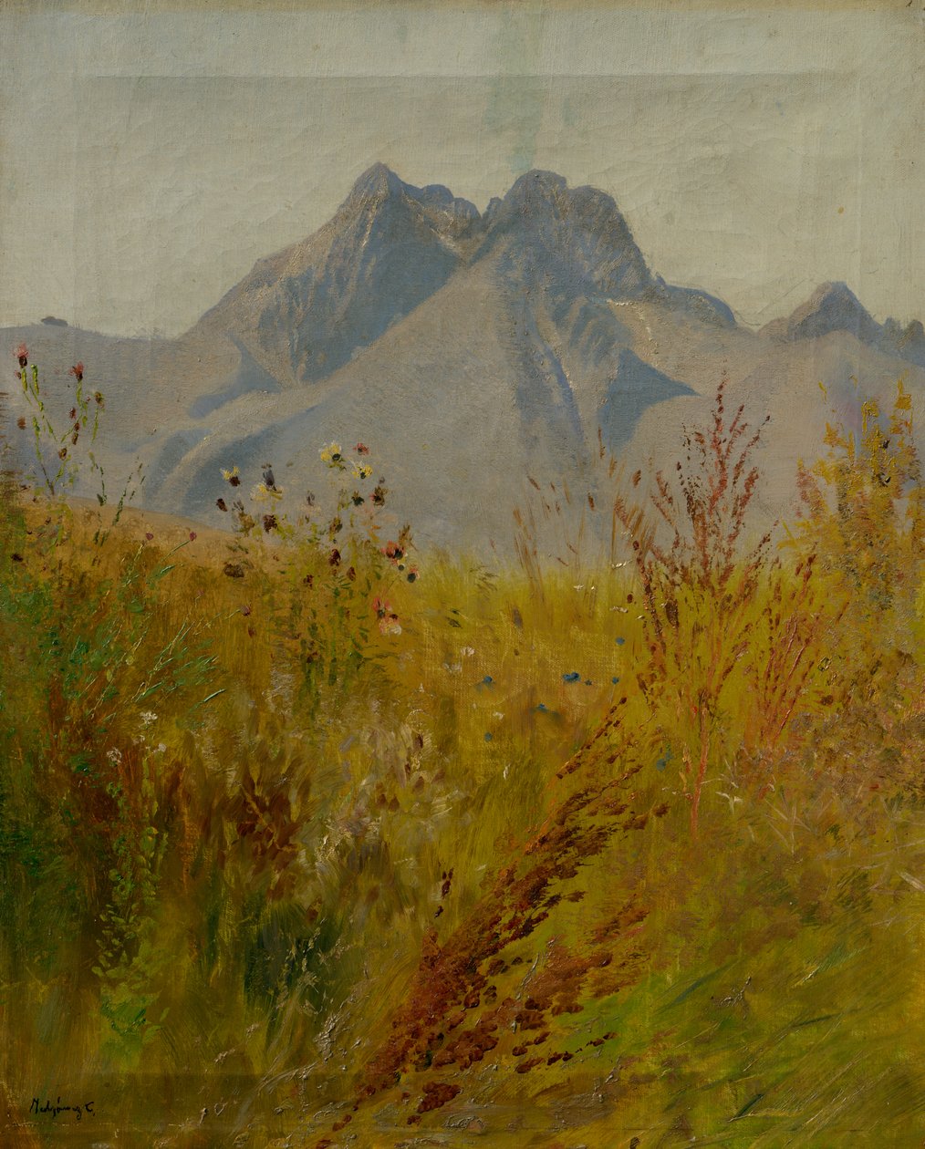 Lomnický Peak by Laszlo Mednyanszky
