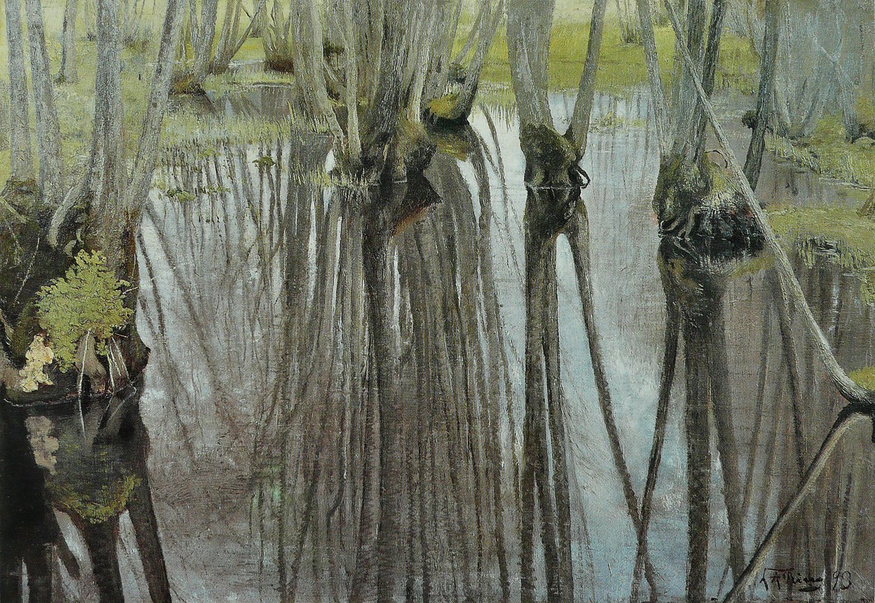 Alder Trunks by Laurits Andersen Ring