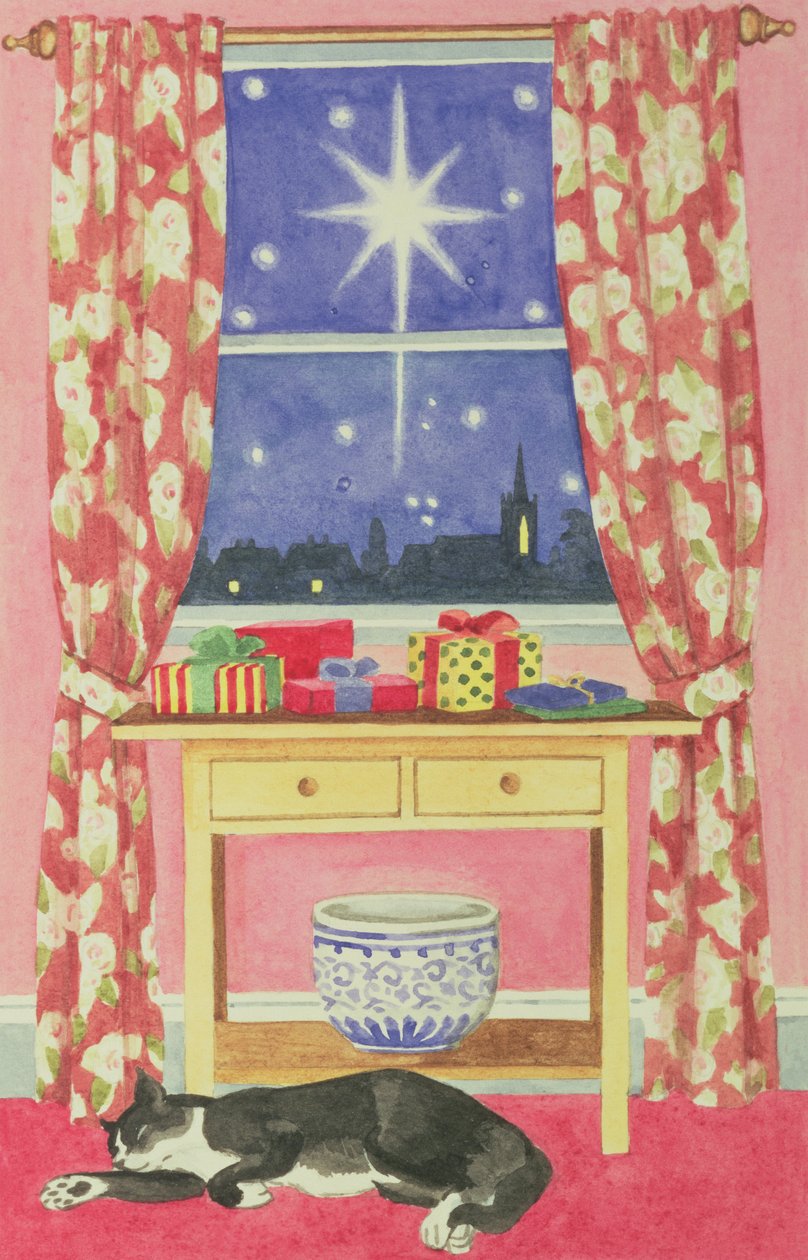 Starry Night by Lavinia Hamer