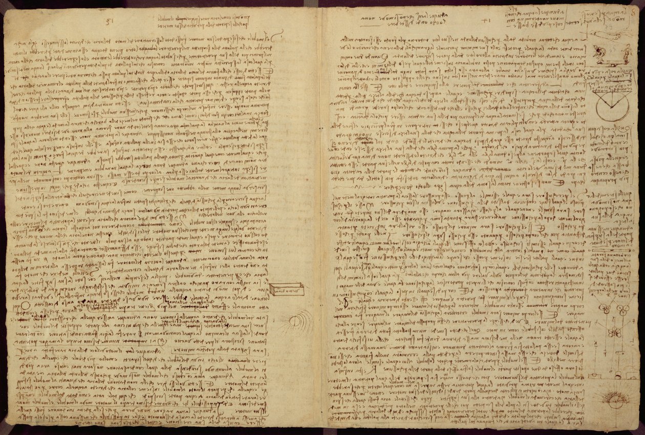 A Page from the Codex Leicester by Leonardo da Vinci