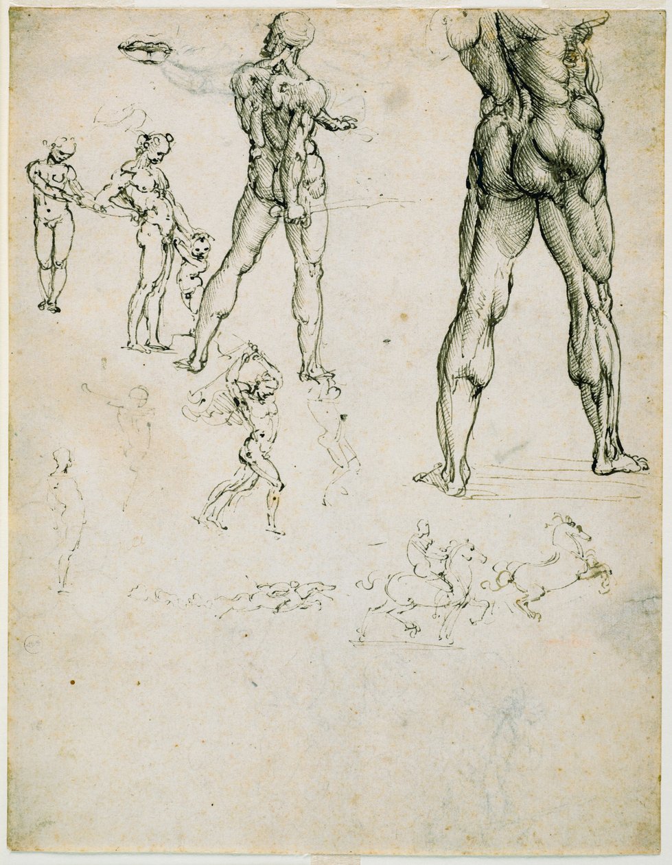 Nudi, for the “Battle of Anghiari” and other figure studies, c. 1505 by Leonardo da Vinci