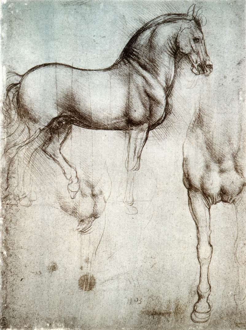 Study of horses by Leonardo da Vinci