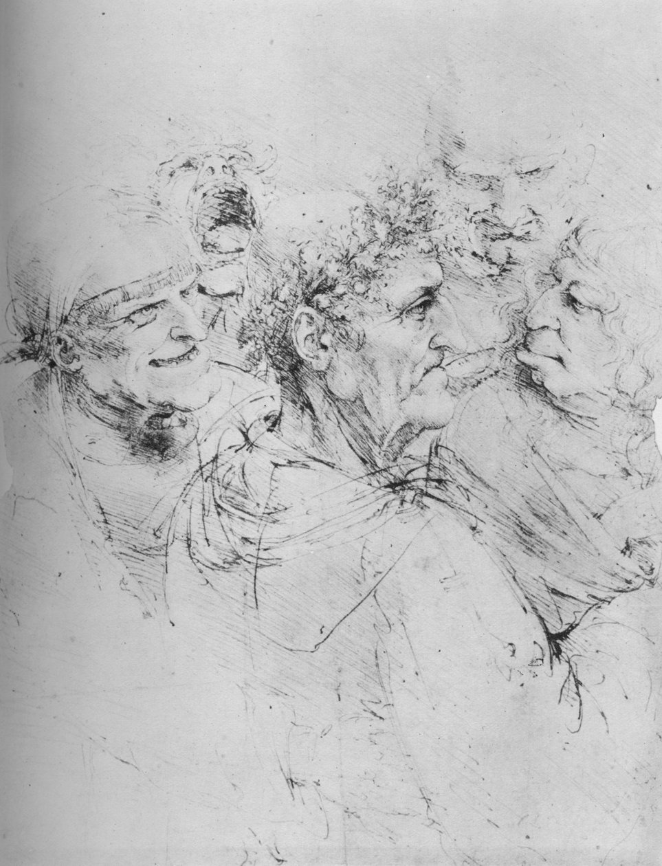 Five Grotesque Heads by Leonardo da Vinci